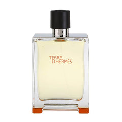 Hermes Terre D'Hermes EDT For Men 100ML