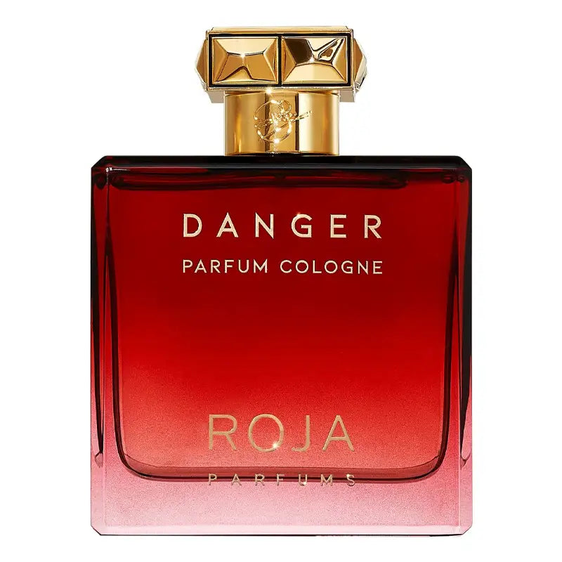 Roja Parfums Danger Pour Homme For Men Parfum Cologne 100ML